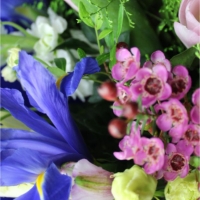 Премиум оформление