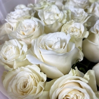 Букет из 25 роз 70 см.