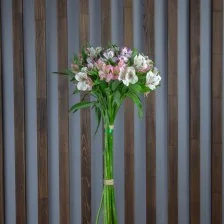 Альстромерия