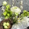Коробочка с ранункулюсом, хелеборусом и вербой
