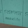 Оазис