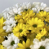 Букет из 7 хризантем