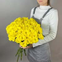 7 кустовых хризантем