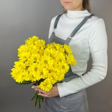 5 кустовых хризантем