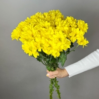 5 кустовых хризантем