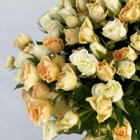 19 кустовых роз