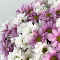 Букет из 9 хризантем