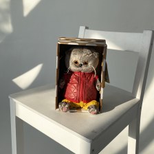 Басик в красной куртке