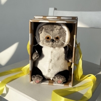 Басик в толстовке с капюшоном