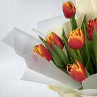 Букет из 9 тюльпанов