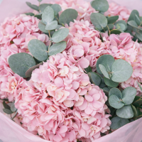 Букет из 7 гортензий с эвкалиптом в оформлении