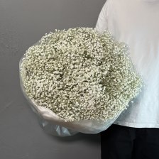 Букет из 25 белой гипсофилы