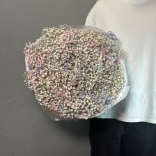 Букет из 25 цветной гипсофилы