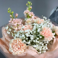 Букет с гипсофилой и гвоздикой