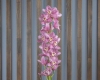 Орхидея Цимбидиум ( ветка )