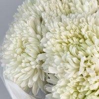 Букет из 9 одноголовых хризантем