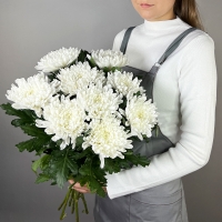 Букет из 9 хризантем