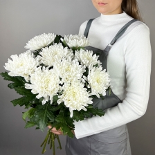 Букет из 9 хризантем