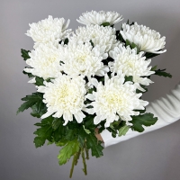 Букет из 9 хризантем