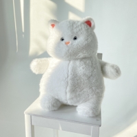 Белый котик