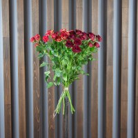 Роза Кустовая