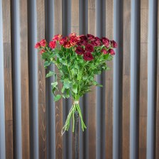 Роза Кустовая