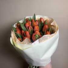 Букет из 25 тюльпанов