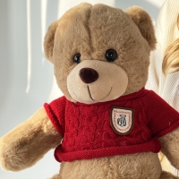 Мишка в свитере