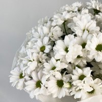 Букет из 9 хризантем