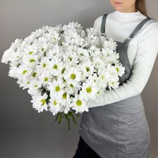 Букет из 9 кустовых хризантем