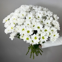 Букет из 9 кустовых хризантем