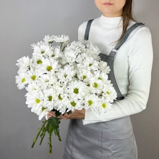 Букет из 5 кустовых хризантем