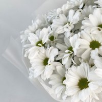 Букет из 5 хризантем