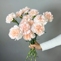 Букет из 15 гвоздик