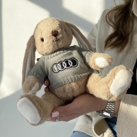 Ауди зайчик