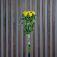 Хризантема Момоко