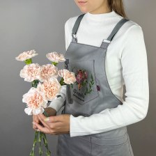 Букет из 7 гвоздик