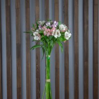 Альстромерия