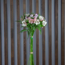 Альстромерия