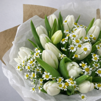 Букет из 19 тюльпанов и ромашки