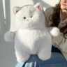 Белый котик №02