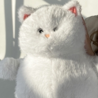 Белый котик №02