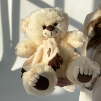 Мишка с шарфом №02