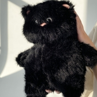 Черный котик