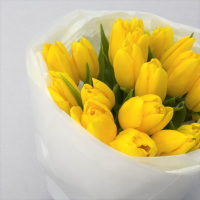 Букет из 25 желтых тюльпанов в оформлении