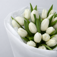 Букет из 25 белых тюльпанов