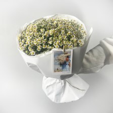 Монобукет из ромашек