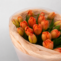 Букет из 25 оранжевых тюльпанов в оформлении