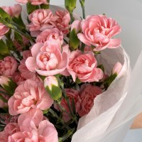 Букет из 15 кустовых гвоздик