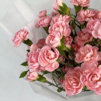 Букет из 15 кустовых гвоздик